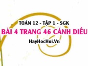 Bài 4 trang 46 Toán 12 tập 1 Cánh Diều